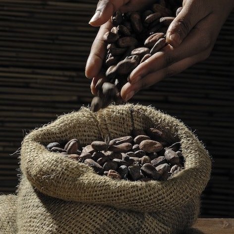 Agro Commodities