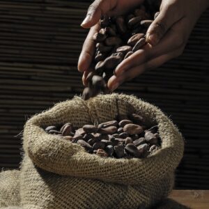 Agro Commodities